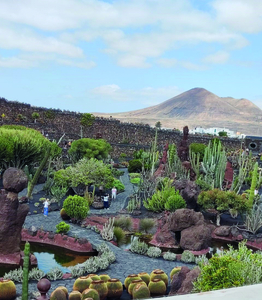 Vue sur les volcans et le jardin des cactus, sortie seniors