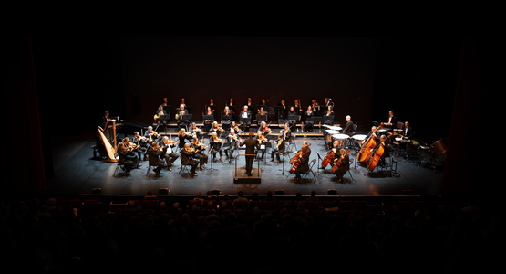Concert du nouvel An © Vincent Coutin