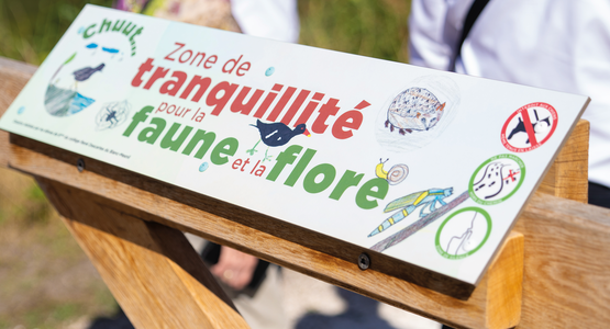 Le parc accueille une « zone de tranquillité pour la faune et la flore », signalée par des dessins réalisés par les élèves de sixième du collège René- Descartes du Blanc-Mesnil.