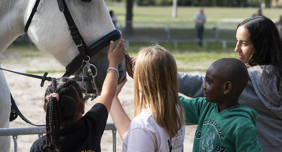 AniMesnil © Sébastien Champeaux