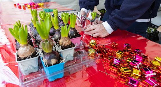 Marché de Noël © Sébastien Champeaux