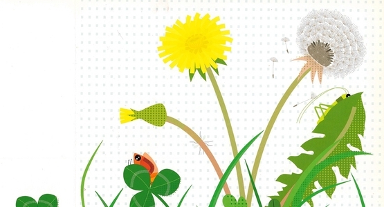 à petits pas en nature