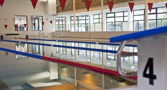 chantier-piscine.jpg