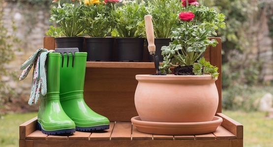 garden-3371260_1920.jpg