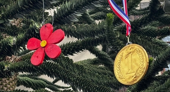 La maison de Nannie - médaille