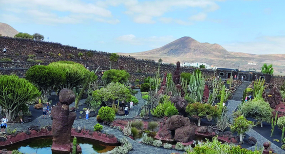 Vue sur les volcans et le jardin des cactus, sortie seniors