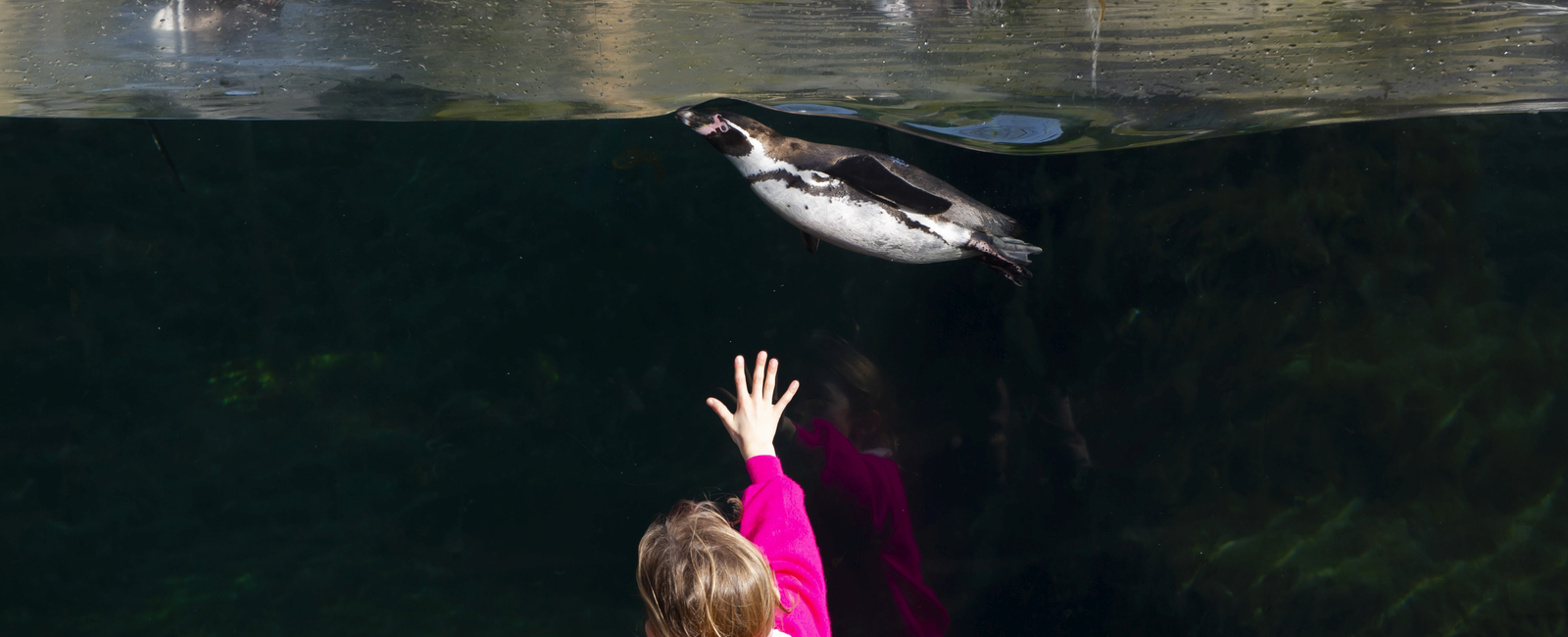 parc zoologique de Paris © Sébastien Champeaux