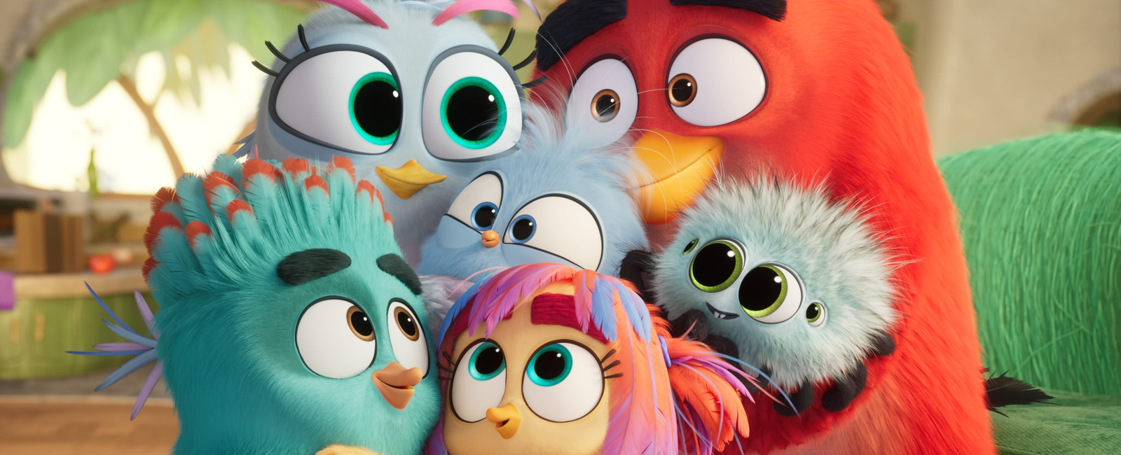Angry birds, La grande envolée