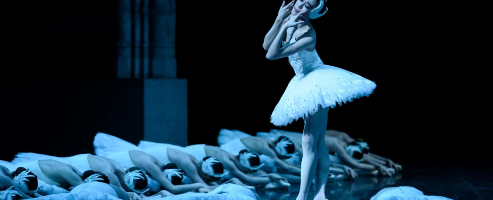 Le Lac des Cygnes, visuel du ballet