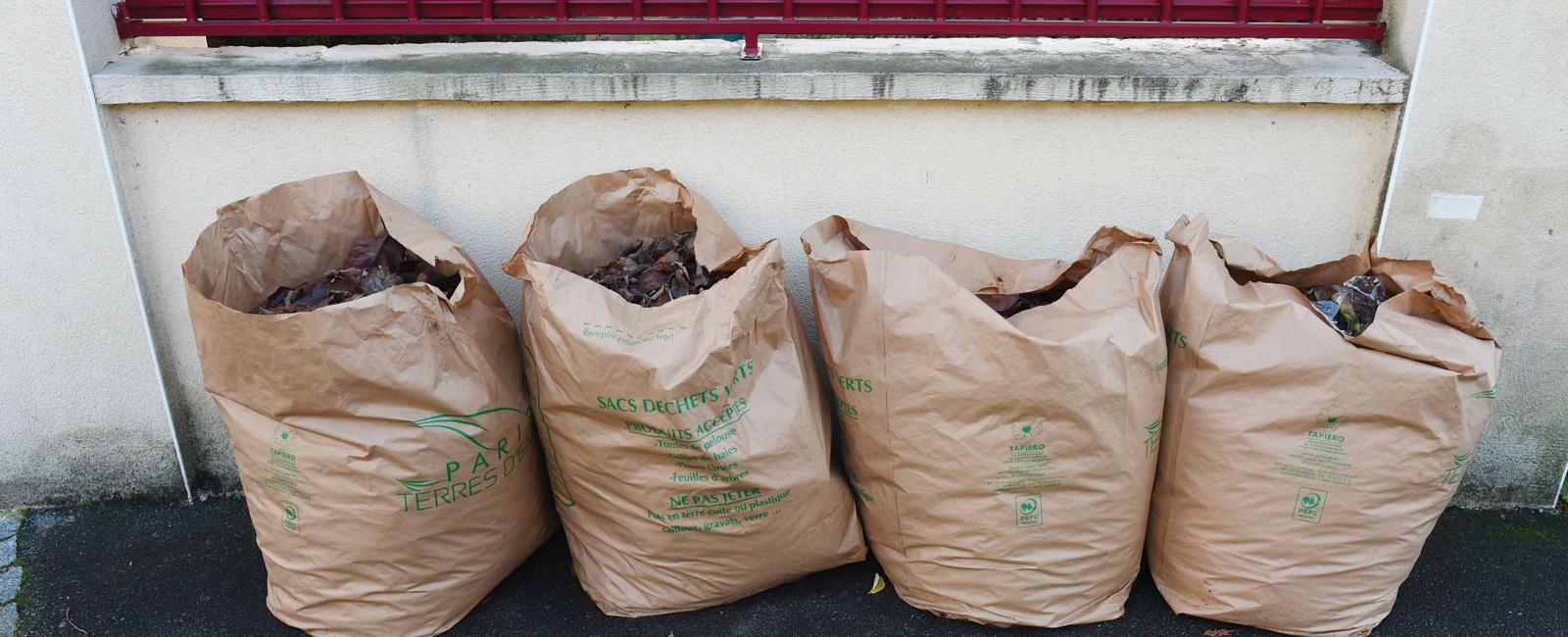 Déchets verts : les anciens sacs verts ne seront plus collectés